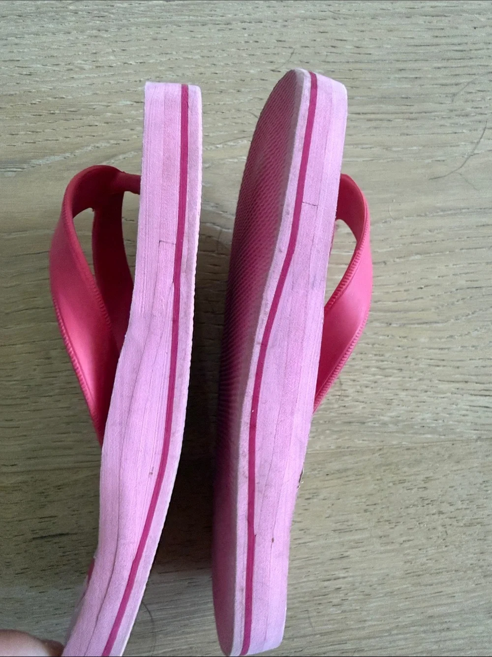 The Black Dog bright pink